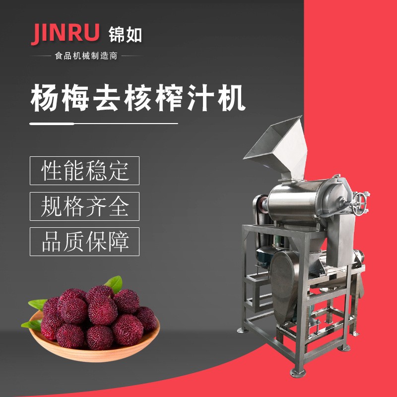 楊梅去核螺旋榨汁機組 水果榨汁飲料設(shè)備