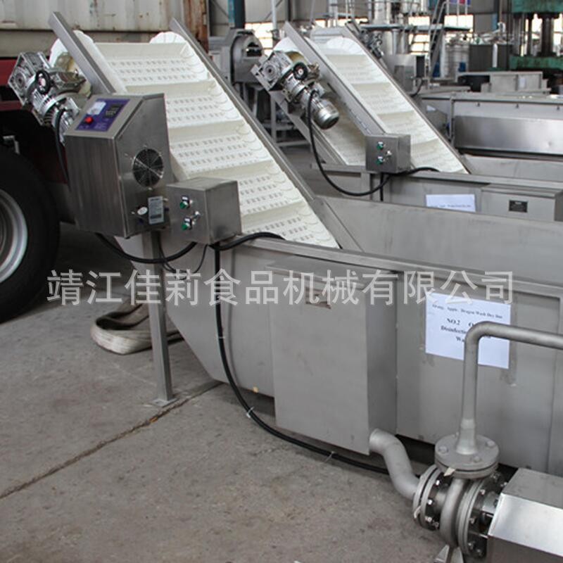 鼓泡浮選機 水果清洗機 蔬菜翻洗機 沖浪洗果機