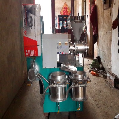 螺旋炸油機(jī)商用自動(dòng)榨油山茶籽油設(shè)備花生牙麻籽榨油機(jī)廠家批發(fā)