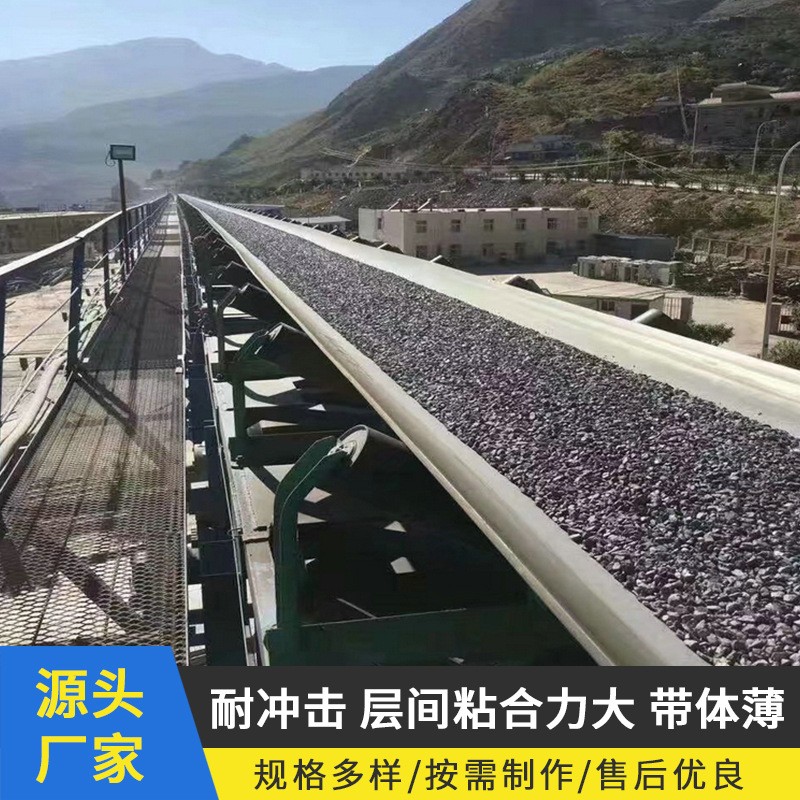 廠家供應(yīng)尼龍橡膠輸送帶尼龍輸送帶運輸機器傳送帶大傾角輸送帶