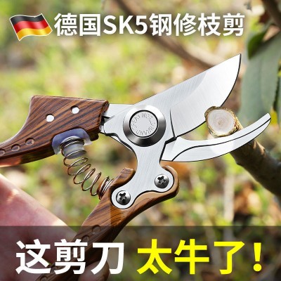 園林修枝剪園藝修剪樹枝剪梳果修果樹剪技修花剪刀省力粗枝剪子