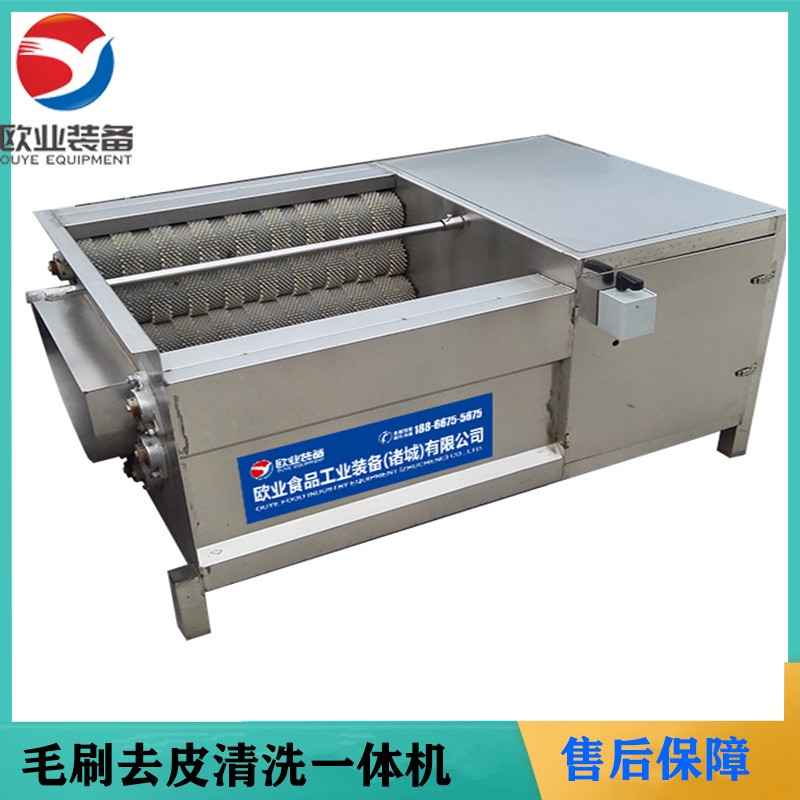 歐業(yè)毛刷清洗機 芋頭去皮機 全自動小型蓮藕脫皮機