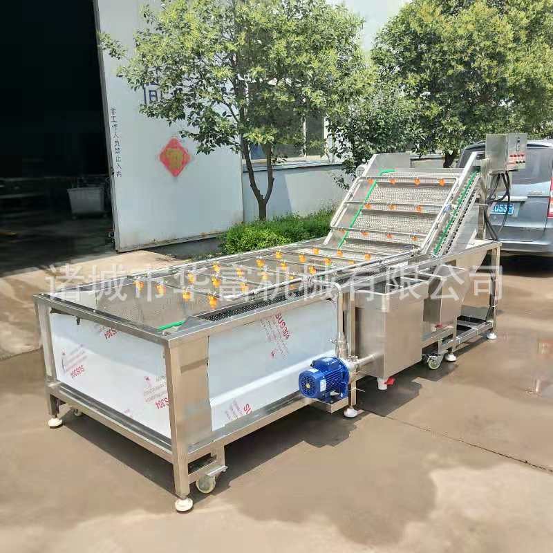商用果蔬網(wǎng)帶氣泡清洗機 板栗堅果加工去雜設(shè)備 噴淋式凈菜流水線