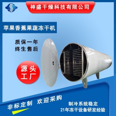 廠(chǎng)家供應(yīng)蘋(píng)果凍干機(jī)香蕉梨子凍干機(jī) 檸檬果蔬凍干機(jī)（5-250平方）