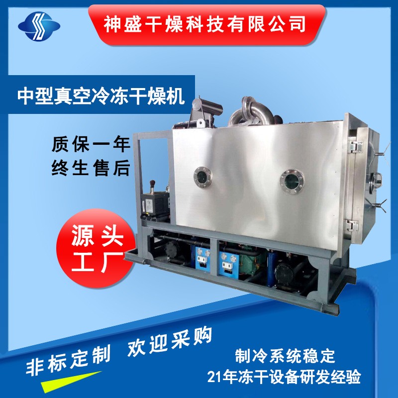 調(diào)味品方便食品冷凍干燥機 大型水果蔬菜低溫冷凍干燥機廠家現(xiàn)貨