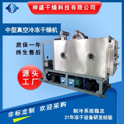 調(diào)味品方便食品冷凍干燥機(jī) 大型水果蔬菜低溫冷凍干燥機(jī)廠(chǎng)家現(xiàn)貨