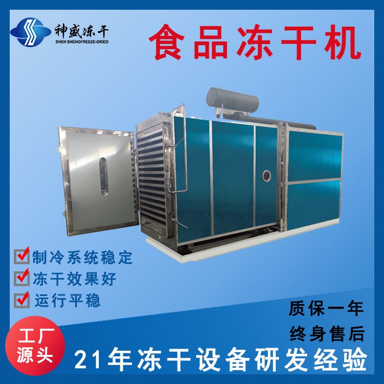 現(xiàn)貨100平商用食品凍干機 果蔬低溫凍干設(shè)備 寵物食品真空凍干機