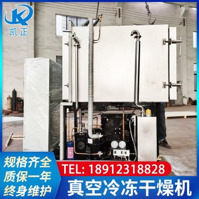 食品果蔬凍干機(jī) 自動(dòng)水果片冷凍干燥機(jī) 低溫真空冷凍干燥機(jī)