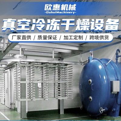 食材凍干機(jī) 食品冷凍真空銀耳真空冷凍干燥 果蔬凍干設(shè)備長久保存