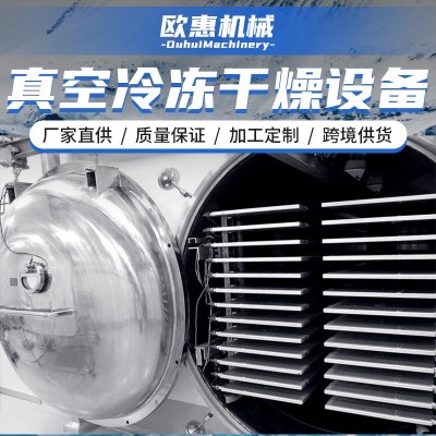 加工定制 水果蔬菜真空凍干機(jī)金銀花凍干設(shè)備魚類冷凍真空干燥機(jī)