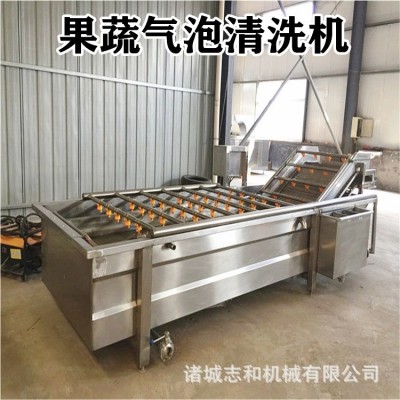 農(nóng)副產(chǎn)品果蔬氣泡清洗機(jī) 中藥材噴淋清洗設(shè)備