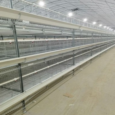 工廠直批立體式蛋雞籠新型全自動層疊蛋雞籠熱鍍鋅框架結(jié)構(gòu)蛋雞籠