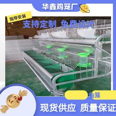 自動清糞養(yǎng)殖兔籠大型養(yǎng)殖場自動化兔子養(yǎng)殖設(shè)備 熱鍍鋅字母兔籠