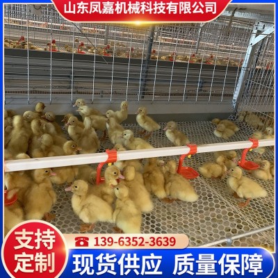 現(xiàn)貨供應籠養(yǎng)設備 農業(yè)養(yǎng)殖機械肉鴨籠 鴨子籠養(yǎng)殖場用的肉鴨籠