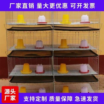 廠家現(xiàn)貨供應(yīng) H型加粗加密小雞籠 階梯式自動化養(yǎng)殖設(shè)備