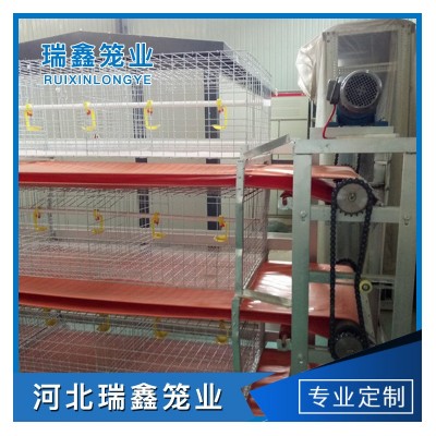 廠家批發(fā) 全自動肉雞籠養(yǎng)殖 層疊籠養(yǎng)設(shè)備