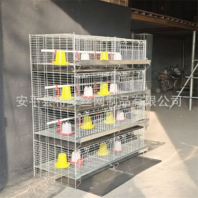 雛雞籠 加粗加密彈簧門(mén)育雛籠 養(yǎng)殖小雞籠 四層8門(mén)立式小雞籠