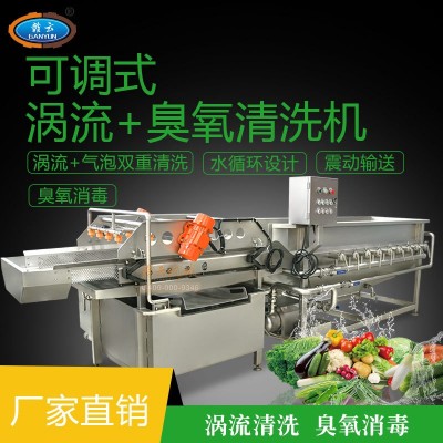 渦流震蕩清洗機(jī) 全自動蔬菜清洗機(jī) 流水線洗菜機(jī) 臭氧氣泡洗菜機(jī)