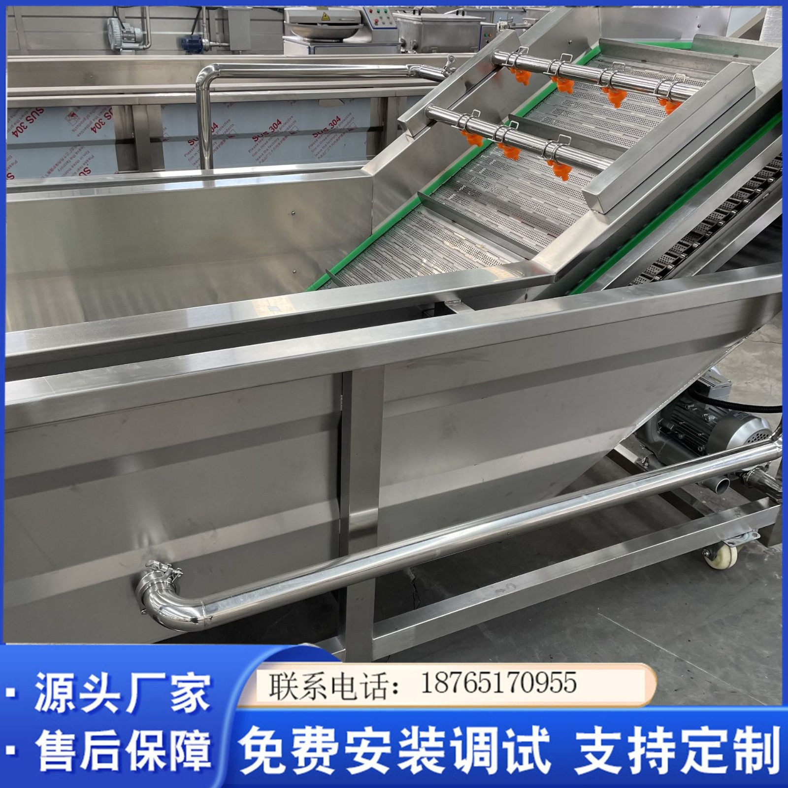 全自動化蕓豆清洗設(shè)備 蒸汽蘆筍氣泡清洗設(shè)備 凈菜果蔬清洗機