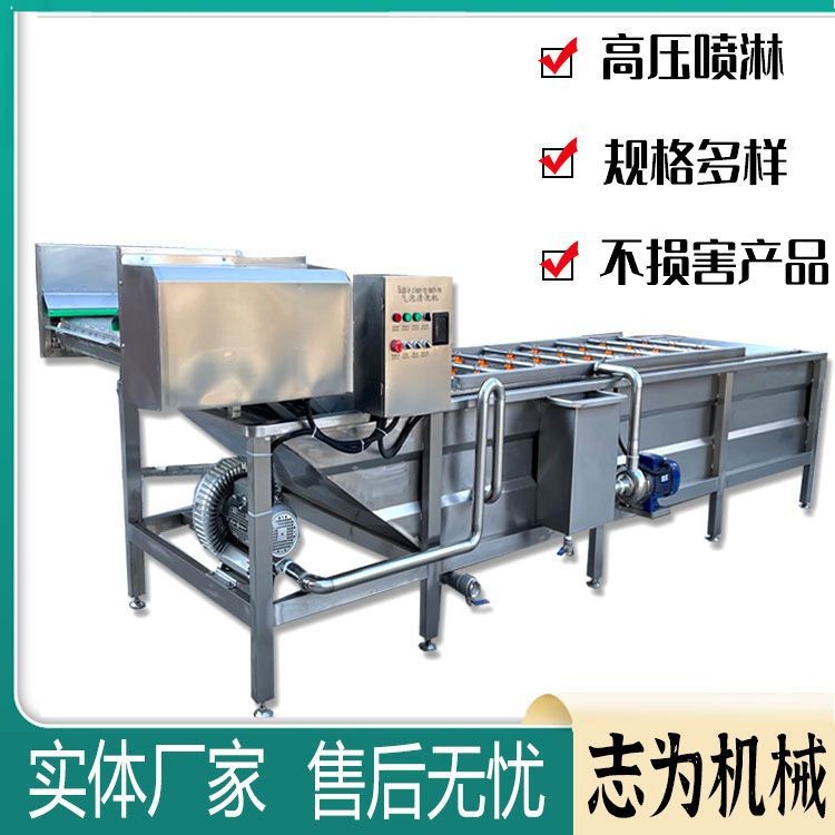 全自動氣泡清洗機 黃花菜大棗蘋果清洗機 大型商用辣椒清洗機設(shè)備