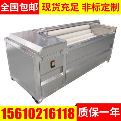 胡蘿卜土豆清洗機(jī) 毛輥清洗機(jī) 果蔬去皮清洗機(jī) 定制毛輥清洗機(jī)