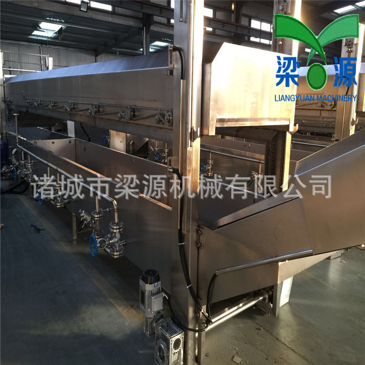 丸子生產(chǎn)線