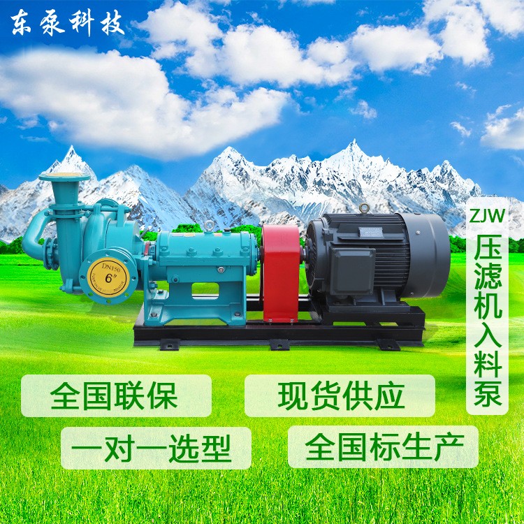 山東東泵 臥式ZJW 現(xiàn)貨供應 壓濾機入料泵雜質(zhì)泵污泥處理泵