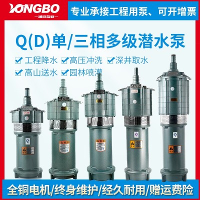 QD多級潛水泵高揚程220v抽水泵農(nóng)用灌溉高壓小老鼠水泵380v降水