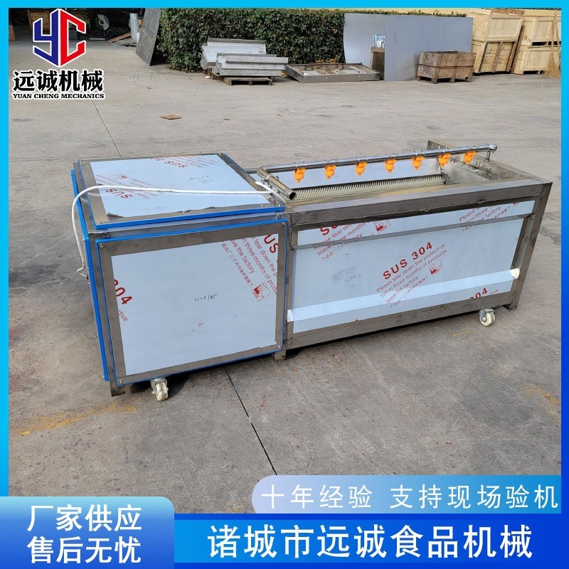 胡蘿卜毛輥去皮機(jī) 全自動(dòng)毛刷去皮機(jī) 土豆海蠣子毛刷清洗機(jī)設(shè)備