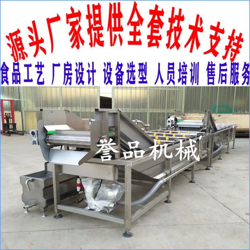 魚類貝殼類氣泡清洗機(jī)價(jià)格優(yōu)惠 凈菜加工設(shè)備 果蔬氣泡噴淋清洗機(jī)