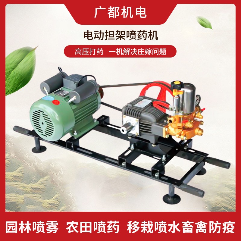 廠家推薦 電動式噴霧器 噴藥機(jī) 擔(dān)架式電機(jī)型園林高壓打藥機(jī)