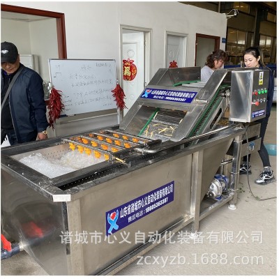 馬青菜清洗加工流水線 小油菜凈菜加工整線工程線 小白菜加工設(shè)備