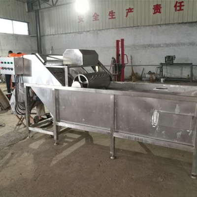 廠家供應(yīng)果蔬氣泡清洗機 高壓氣泡清洗機 全自動蔬菜清洗機