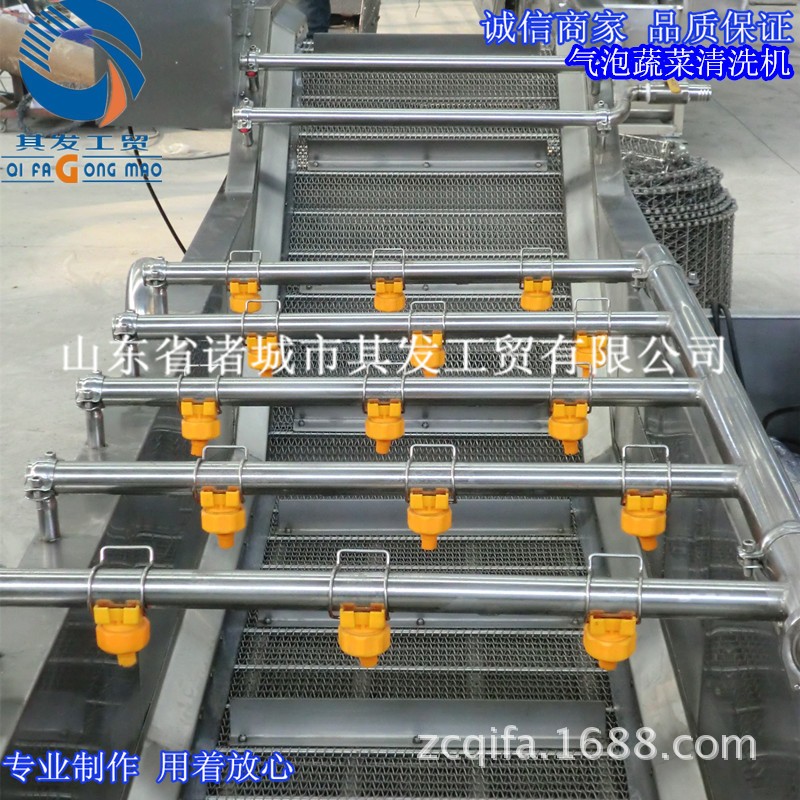 諸城市其發(fā)工貿(mào)供應(yīng)氣泡翻浪清洗機(jī) 葉菜類蔬菜清洗機(jī) 瓜果清洗