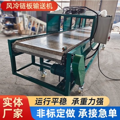 不銹鋼風(fēng)冷鏈板輸送機(jī)食品果蔬冷卻運(yùn)輸流水線不銹鋼鏈板傳送帶