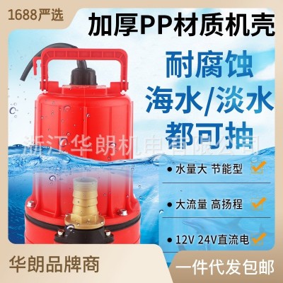 春耕抽水用什么戶(hù)外直流水泵幫你解決