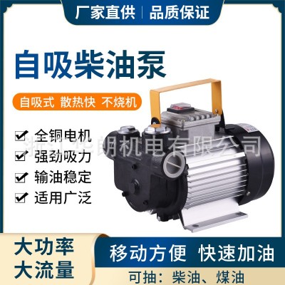 廠家批發(fā)220V電動(dòng)自吸加油泵大功率抽油泵大流量抽油機(jī)柴油泵煤油