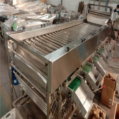 盛德利 果蔬加工設(shè)備 圣女果大棗核桃在線分級(jí)機(jī)