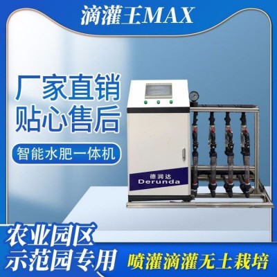 德潤達(dá) 水肥一體機(jī)廠家批發(fā) 智能施肥機(jī) 自動(dòng)施肥器