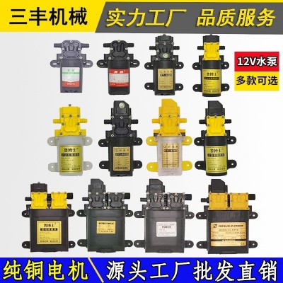 12V電動噴霧器水泵高壓智能回流隔膜雙核水泵電動噴霧器配件批發(fā)
