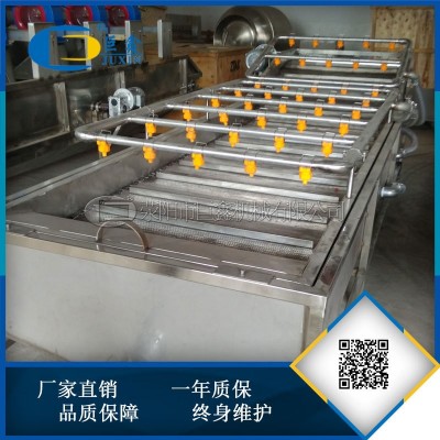 全自動(dòng)水果蔬菜清洗機(jī) 不銹鋼噴淋氣泡清洗機(jī)定制