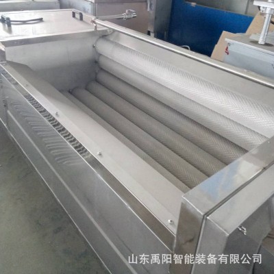鮮姜毛輥去皮清洗機(jī) 老姜全自動(dòng)毛輥去皮祛泥清洗機(jī) 廠家現(xiàn)貨供應(yīng)