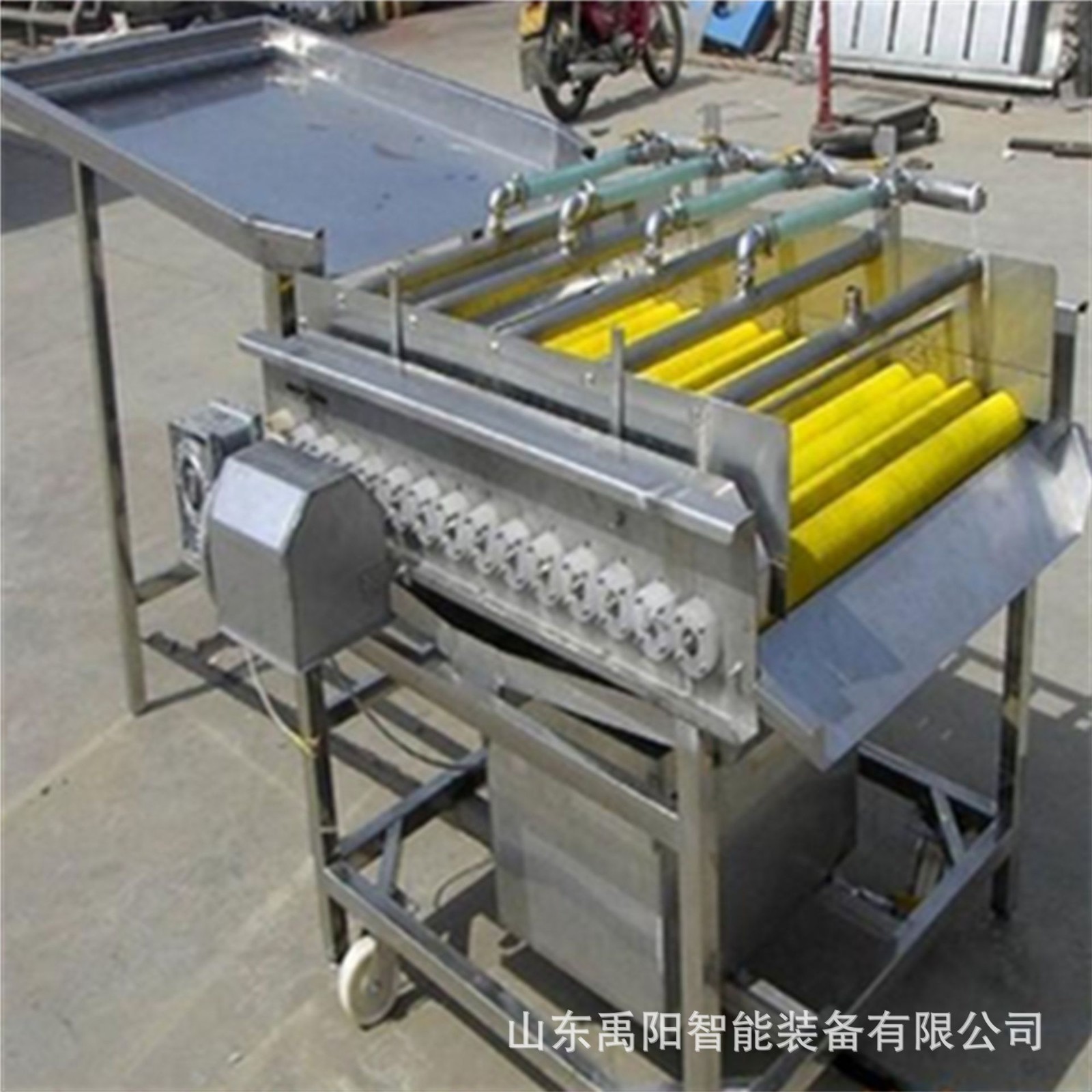 現(xiàn)貨土豆去皮毛輥清洗機 豬蹄羊蹄清洗機 芋頭中藥材毛輥清洗機
