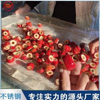 凍干冰糖葫蘆裹糖機(jī) 全自動(dòng)上糖漿機(jī)設(shè)備 嘎嘣脆空心山楂上糖機(jī)