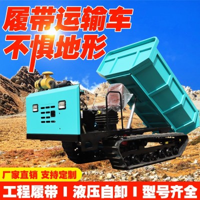 小型履帶運(yùn)輸車全地形爬山王工程履帶運(yùn)輸車農(nóng)用座駕運(yùn)輸車