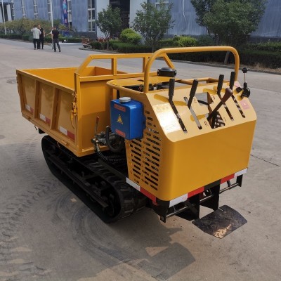 爬山虎運(yùn)輸廠家山地果園農(nóng)用手扶履帶運(yùn)輸車全地形履帶運(yùn)輸車