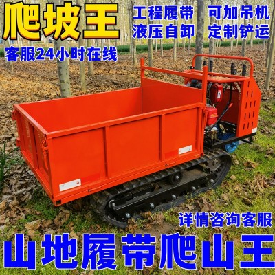 履帶運(yùn)輸車爬山虎工程農(nóng)用山地小型全地形爬坡王自卸四不像拖拉機(jī)