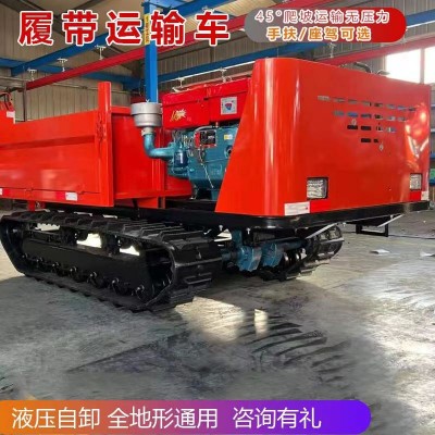 全地形履帶運(yùn)輸車山地果園爬山虎自卸車小型手扶農(nóng)用履帶運(yùn)輸車