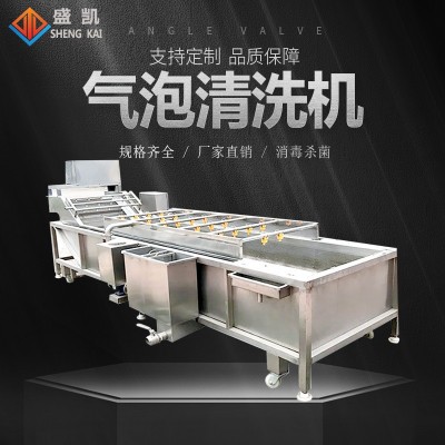 中藥材氣泡清洗機凈菜加工設(shè)備水果蔬菜辣椒清洗 萬能氣泡 清洗機