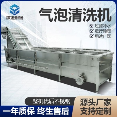 洗菜機(jī)商用果蔬清洗機(jī)全自動氣泡清洗機(jī)去除農(nóng)藥蔬菜洗菜機(jī)可批發(fā)